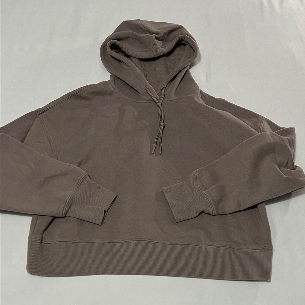 Harmony Balance Taupe Cropped Hoodie with Thumbhole Sleeves